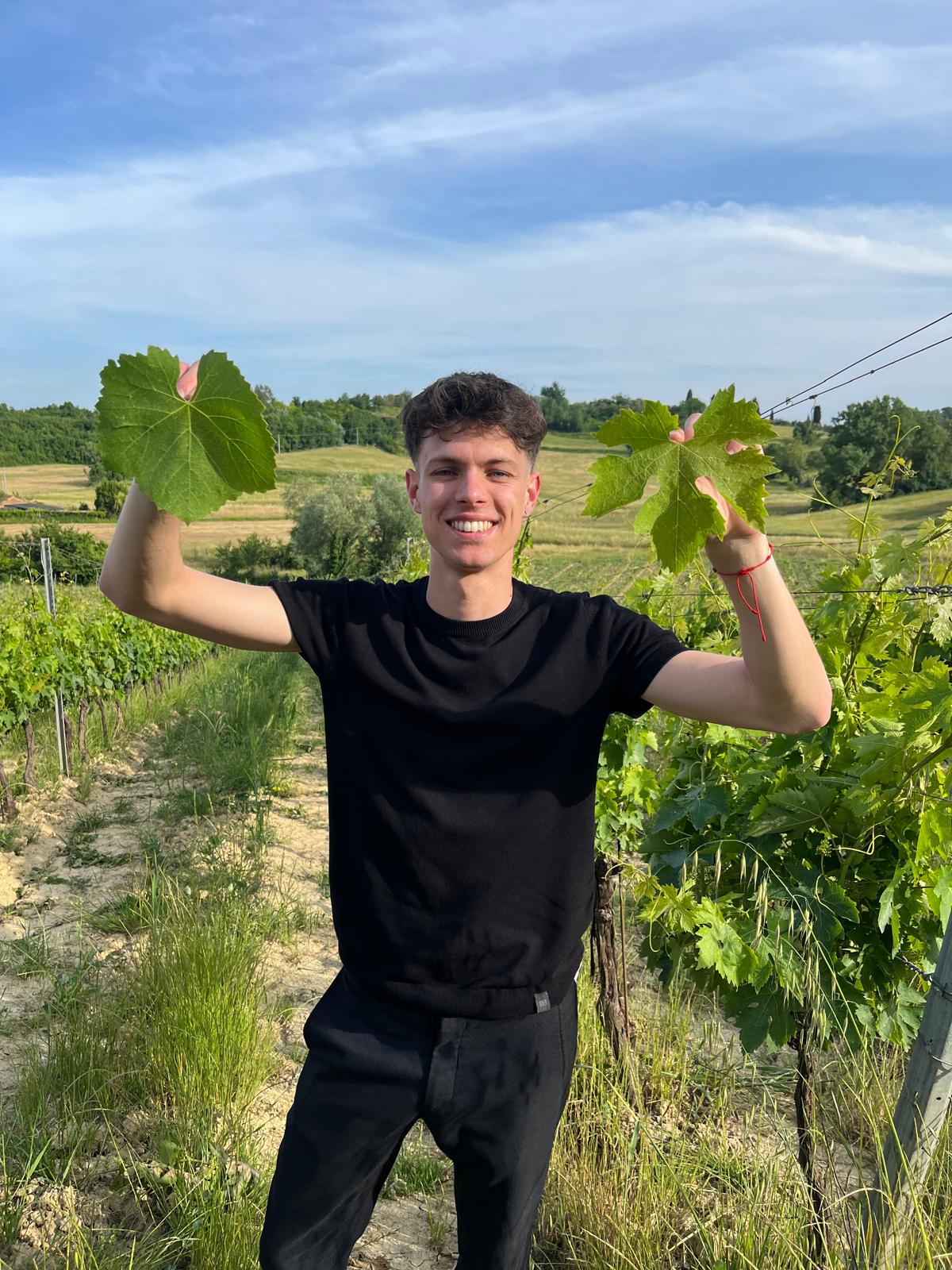 Vineyard tour